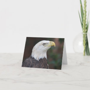 Bald Eagle Photo Folded Note Card