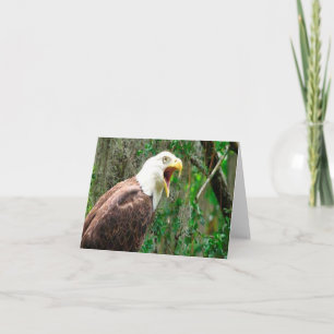Bald Eagle Photo Folded Note Card