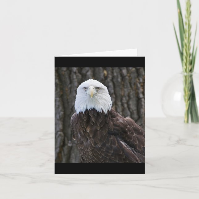 Bald Eagle Photo Folded Note Card (Front)