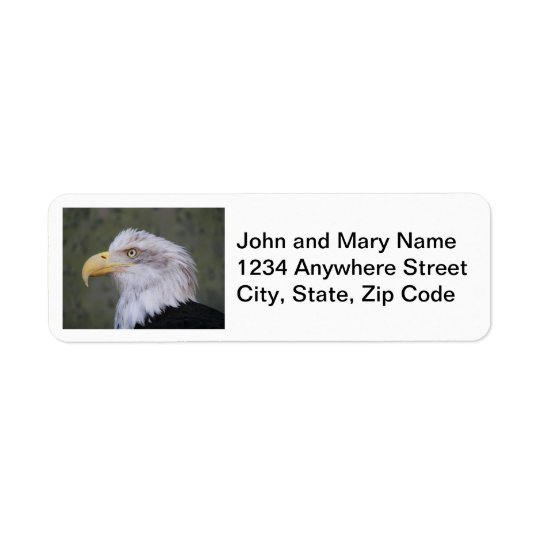 Bald Eagle Photo Return Address Labels