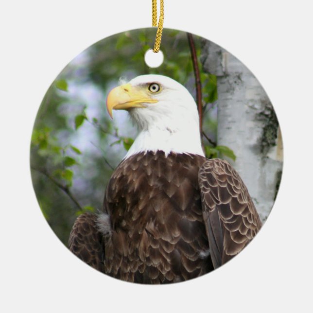 Bald Eagle Photography With Bible Verse Ceramic Tree Decoration (Front)