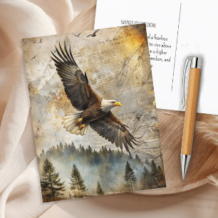 Bald Eagle Pine Forest Vintage Nature Wildlife  Postcard