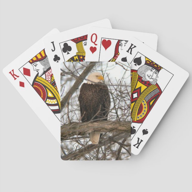 Bald Eagle Pinery Narrows Playing Cards (Back)