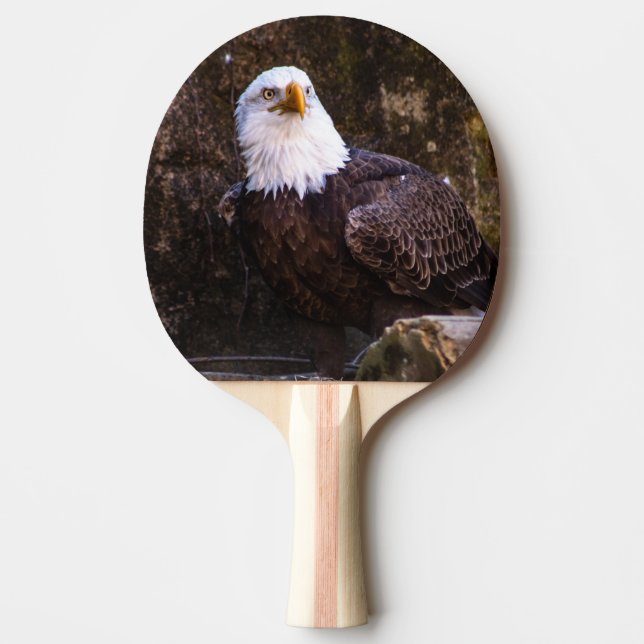 Bald Eagle Ping Pong Paddle (Front)