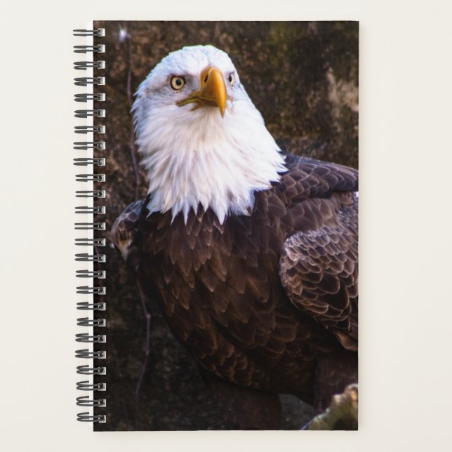 Bald Eagle Planner (Front)
