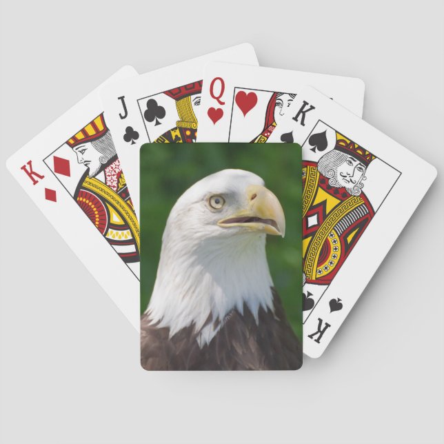 Bald Eagle Playing Cards (Back)