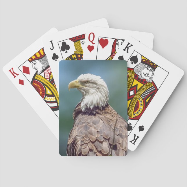 Bald Eagle Playing Cards (Back)