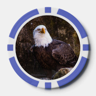 Bald Eagle Poker Chips