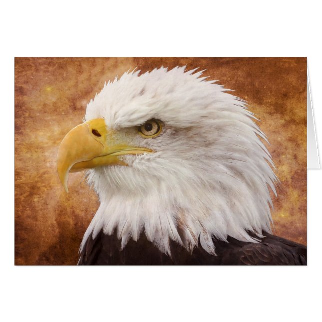 Bald Eagle Portrait (Front Horizontal)