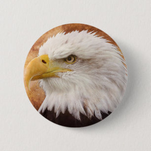 Bald Eagle Portrait 6 Cm Round Badge