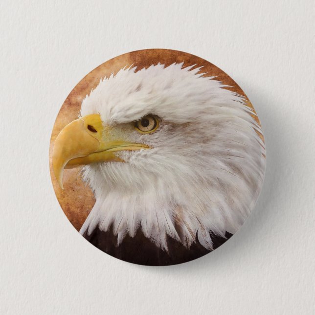 Bald Eagle Portrait 6 Cm Round Badge (Front)