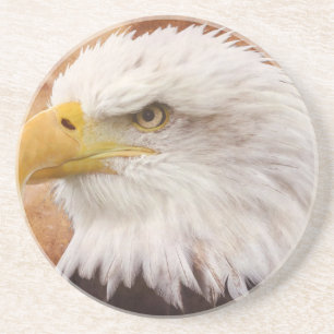 Bald Eagle Portrait Coaster