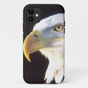 Bald Eagle Portrait, Haliaeetus leucocephalus, iPhone 11 Case