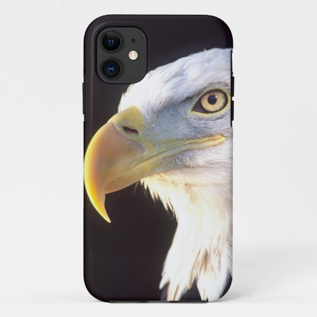 Bald Eagle Portrait, Haliaeetus leucocephalus, Case-Mate iPhone Case (Back)