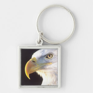 Bald Eagle Portrait, Haliaeetus leucocephalus, Key Ring