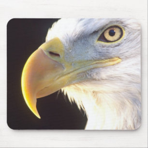 Bald Eagle Portrait, Haliaeetus leucocephalus, Mouse Mat