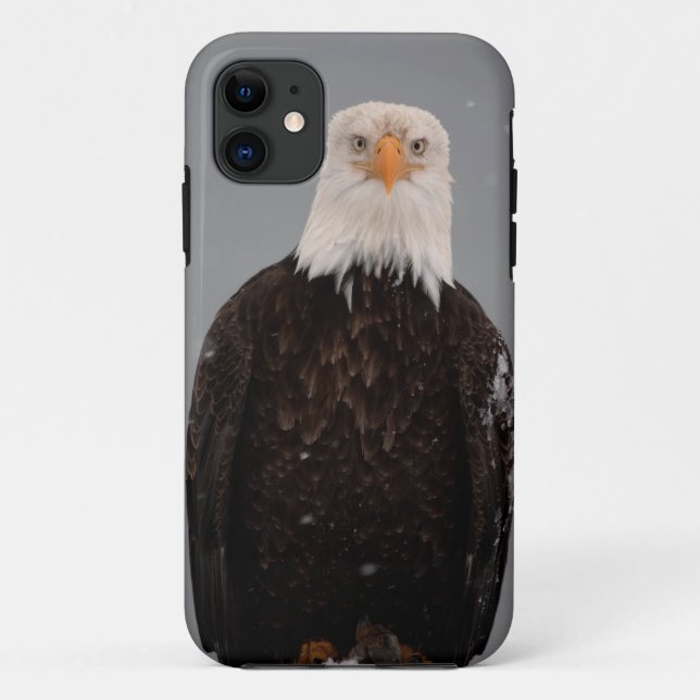 Bald Eagle Portrait in the Snow, Haliaeetus Case-Mate iPhone Case (Back)