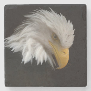 Bald Eagle Portrait Stone Coaster