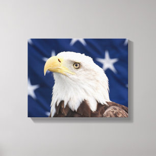 Bald Eagle Portrait with stars Canvas Print