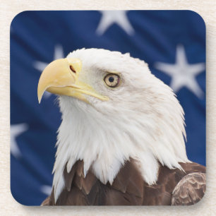 Bald Eagle Portrait with stars Coaster