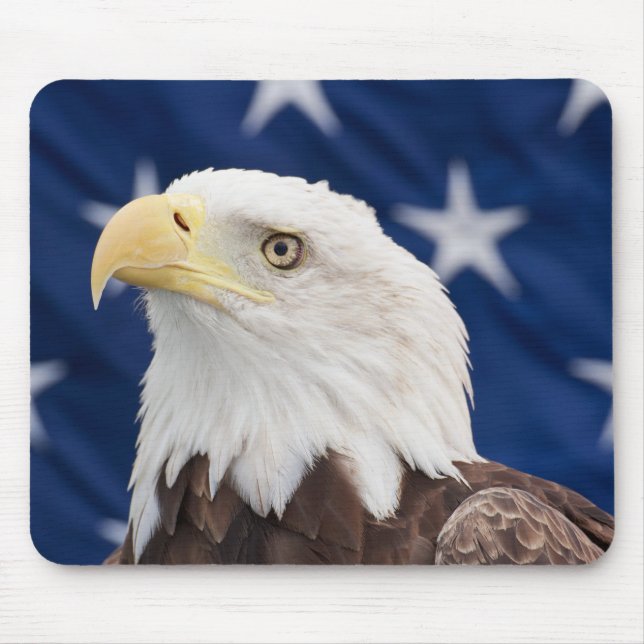 Bald Eagle Portrait with stars Mouse Mat (Front)