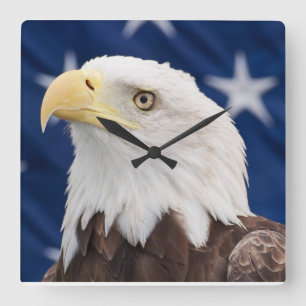 Bald Eagle Portrait with stars Square Wall Clock