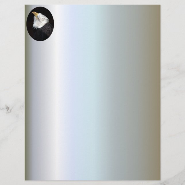 Bald Eagle Portriat (Front)