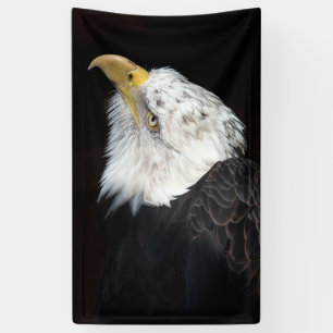 Bald Eagle Portriat Banner