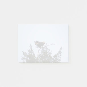 Bald Eagle Post-it Notes