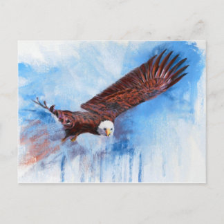 Bald Eagle Postcard