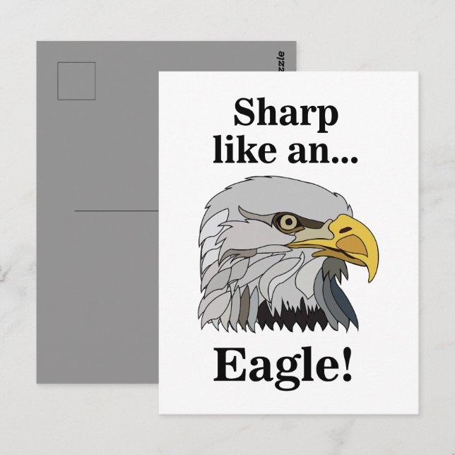 Bald Eagle Postcard (Front/Back)