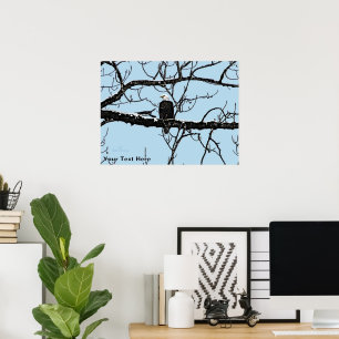 Bald Eagle Poster