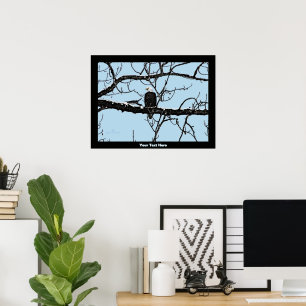 Bald Eagle Poster