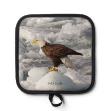 Bald Eagle pot holder
