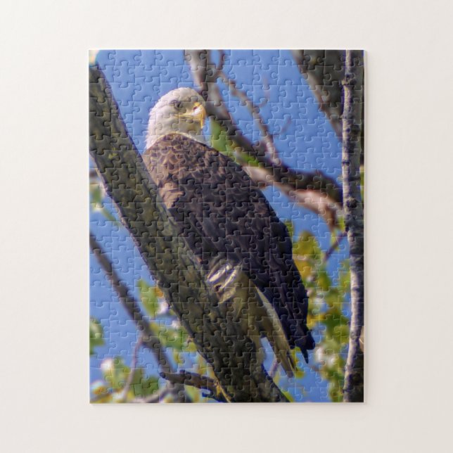 Bald Eagle Puzzle (Vertical)