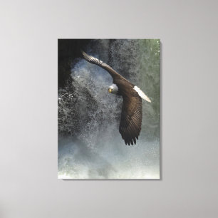Bald Eagle Raptor Wild Animal Photo Poster Canvas Print