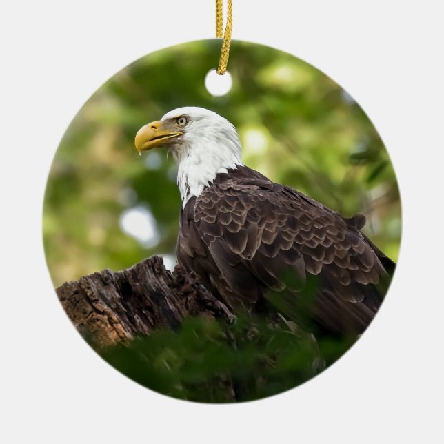 Bald Eagle Rest Stop Ceramic Tree Decoration (Front)