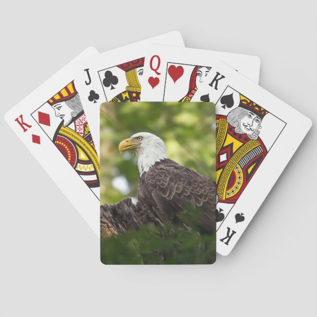 Bald Eagle Rest Stop  Playing Cards (Back)
