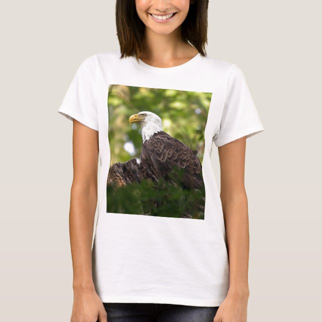 Bald Eagle Rest Stop T-Shirt (Front)