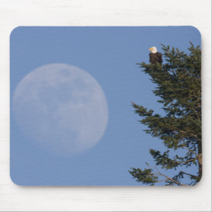 Bald Eagle   Rising Full Moon Mouse Mat