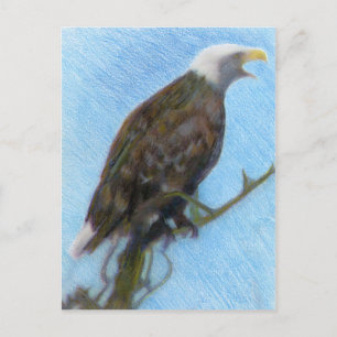 Bald Eagle Screaming in a Tree Postcard