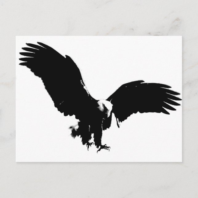 Bald Eagle Silhouette Postcard (Front)