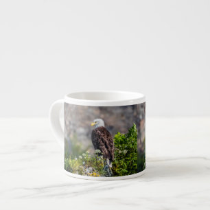 Bald eagle sitting on the rock espresso cup