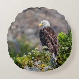 Bald eagle sitting on the rock round cushion