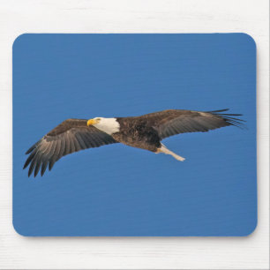 Bald Eagle Sky High Mouse Mat
