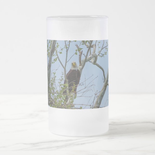 Bald Eagle Smile Frosted Glass Beer Mug (Center)