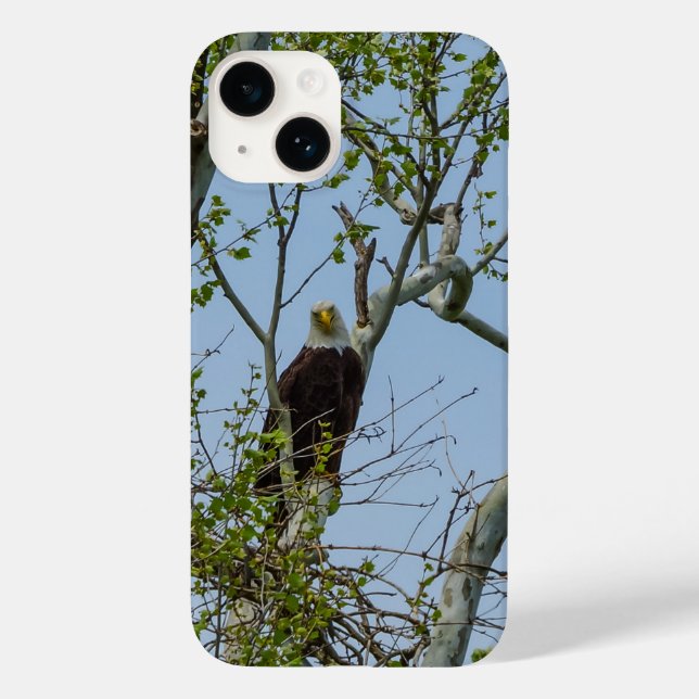 Bald Eagle Smile iPhone Case (Back)