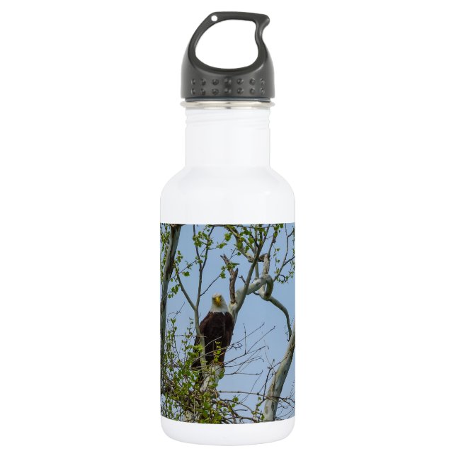 Bald Eagle Smile Stainless Steel Water Bottle (Front)
