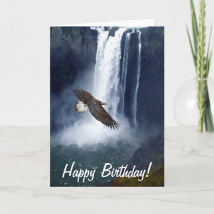 Bald Eagle & Snoqualmie Falls Greeting Cards