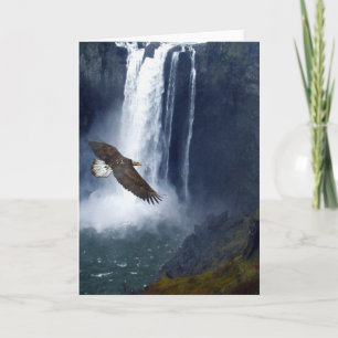 Bald Eagle & Snoqualmie Falls Greeting Cards